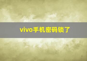 vivo手机密码锁了