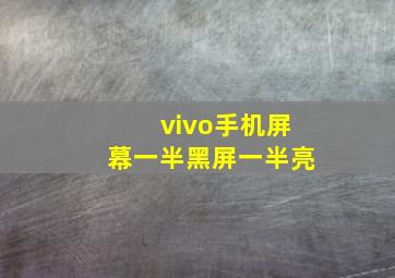 vivo手机屏幕一半黑屏一半亮