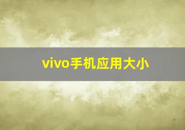 vivo手机应用大小