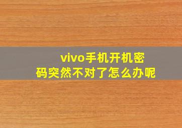 vivo手机开机密码突然不对了怎么办呢