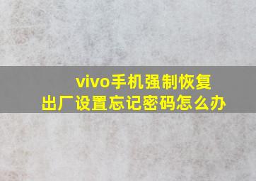 vivo手机强制恢复出厂设置忘记密码怎么办