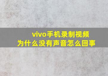 vivo手机录制视频为什么没有声音怎么回事