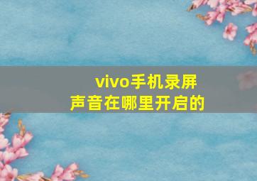 vivo手机录屏声音在哪里开启的