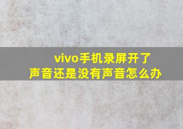 vivo手机录屏开了声音还是没有声音怎么办