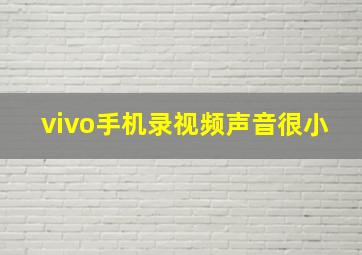 vivo手机录视频声音很小