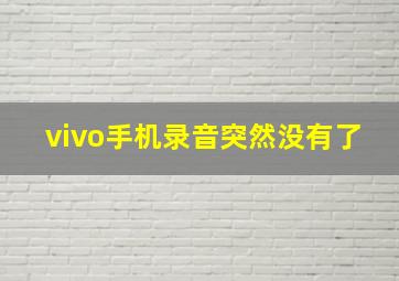 vivo手机录音突然没有了