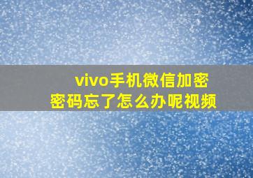 vivo手机微信加密密码忘了怎么办呢视频