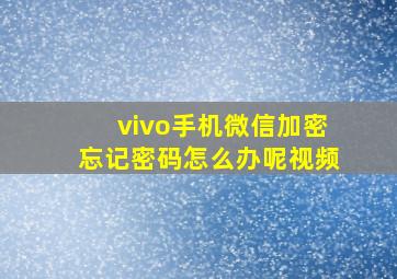 vivo手机微信加密忘记密码怎么办呢视频