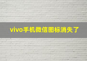 vivo手机微信图标消失了