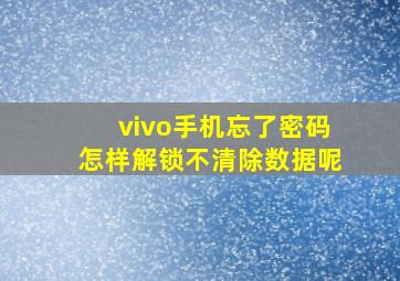 vivo手机忘了密码怎样解锁不清除数据呢