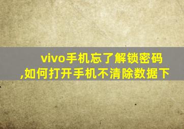 vivo手机忘了解锁密码,如何打开手机不清除数据下