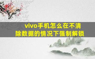 vivo手机怎么在不清除数据的情况下强制解锁