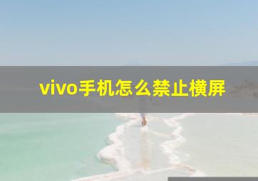 vivo手机怎么禁止横屏