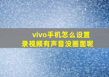 vivo手机怎么设置录视频有声音没画面呢