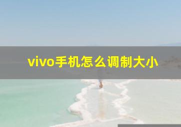 vivo手机怎么调制大小