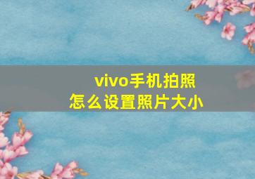 vivo手机拍照怎么设置照片大小