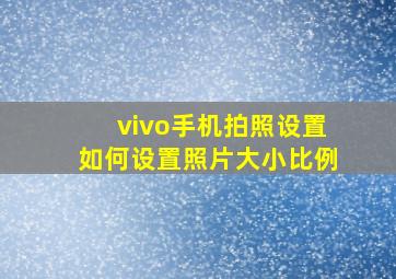 vivo手机拍照设置如何设置照片大小比例