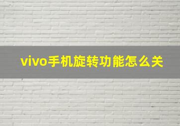 vivo手机旋转功能怎么关