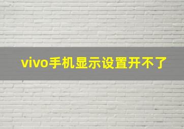 vivo手机显示设置开不了