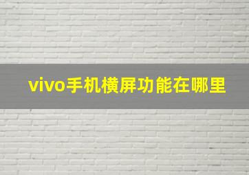 vivo手机横屏功能在哪里