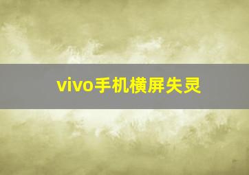 vivo手机横屏失灵