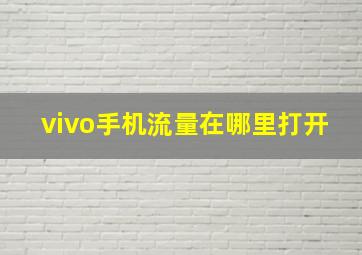 vivo手机流量在哪里打开