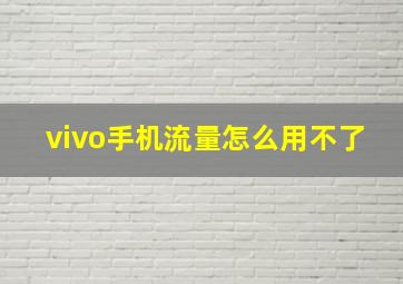 vivo手机流量怎么用不了