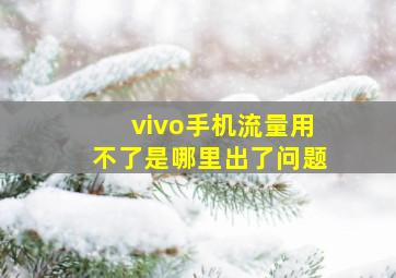 vivo手机流量用不了是哪里出了问题