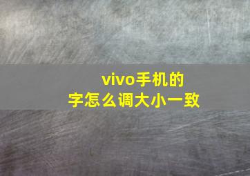 vivo手机的字怎么调大小一致