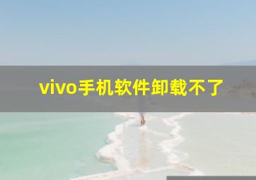 vivo手机软件卸载不了