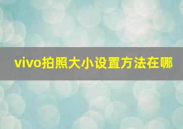 vivo拍照大小设置方法在哪