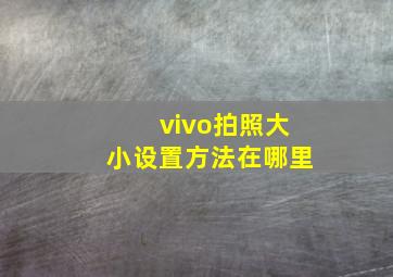 vivo拍照大小设置方法在哪里