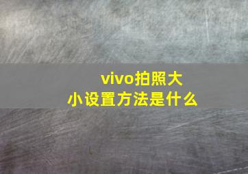 vivo拍照大小设置方法是什么