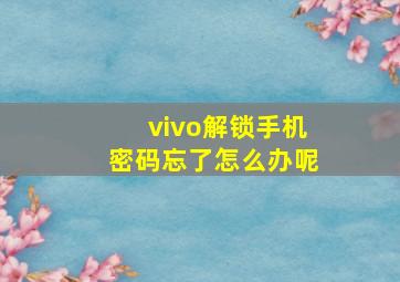 vivo解锁手机密码忘了怎么办呢