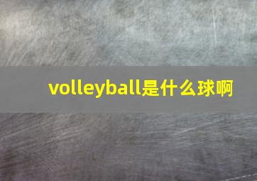 volleyball是什么球啊