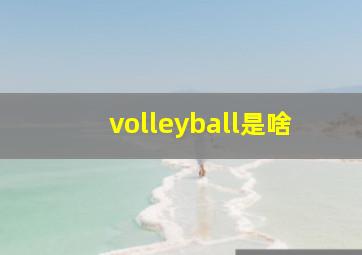 volleyball是啥