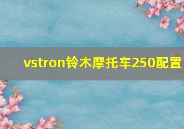 vstron铃木摩托车250配置