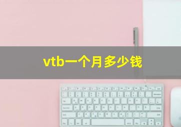 vtb一个月多少钱