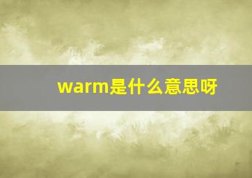 warm是什么意思呀