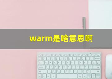 warm是啥意思啊