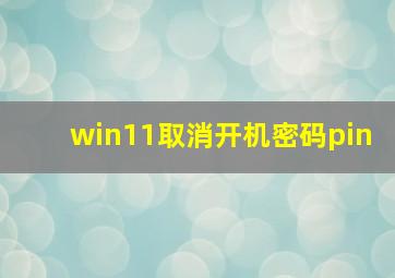 win11取消开机密码pin