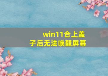 win11合上盖子后无法唤醒屏幕