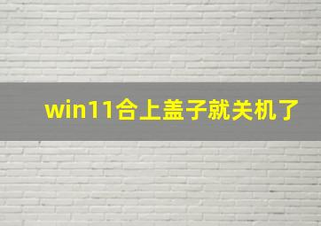 win11合上盖子就关机了