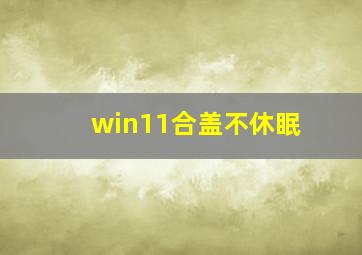 win11合盖不休眠