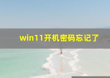 win11开机密码忘记了