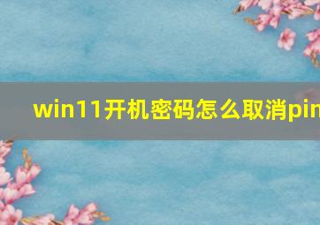 win11开机密码怎么取消pin