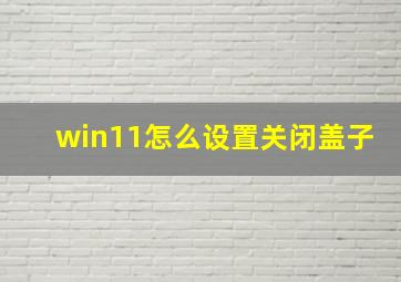 win11怎么设置关闭盖子