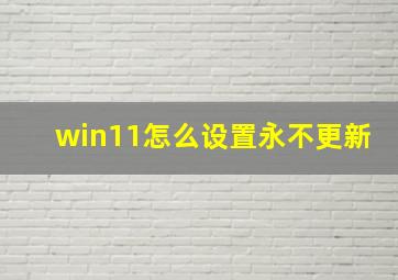 win11怎么设置永不更新