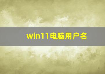 win11电脑用户名