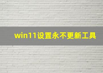 win11设置永不更新工具